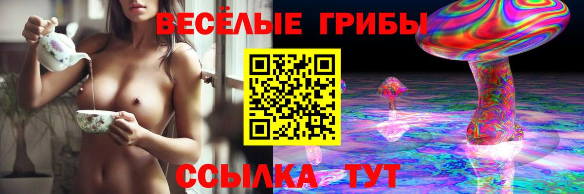 Галлюциногенные грибы Psilocybe  Вход с VPN  цена   Прохладный 